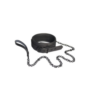 Blaze Luxury Fetish Collar and Leash obojek s vodítkem Black