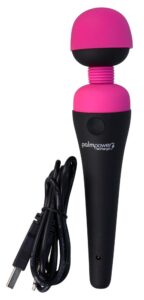 PalmPower Recharge Wand Massager